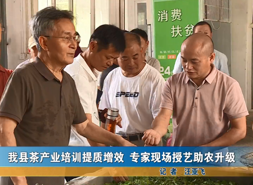 我縣茶產(chǎn)業(yè)培訓(xùn)提質(zhì)增效 專家現(xiàn)場(chǎng)授藝助農(nóng)升級(jí)